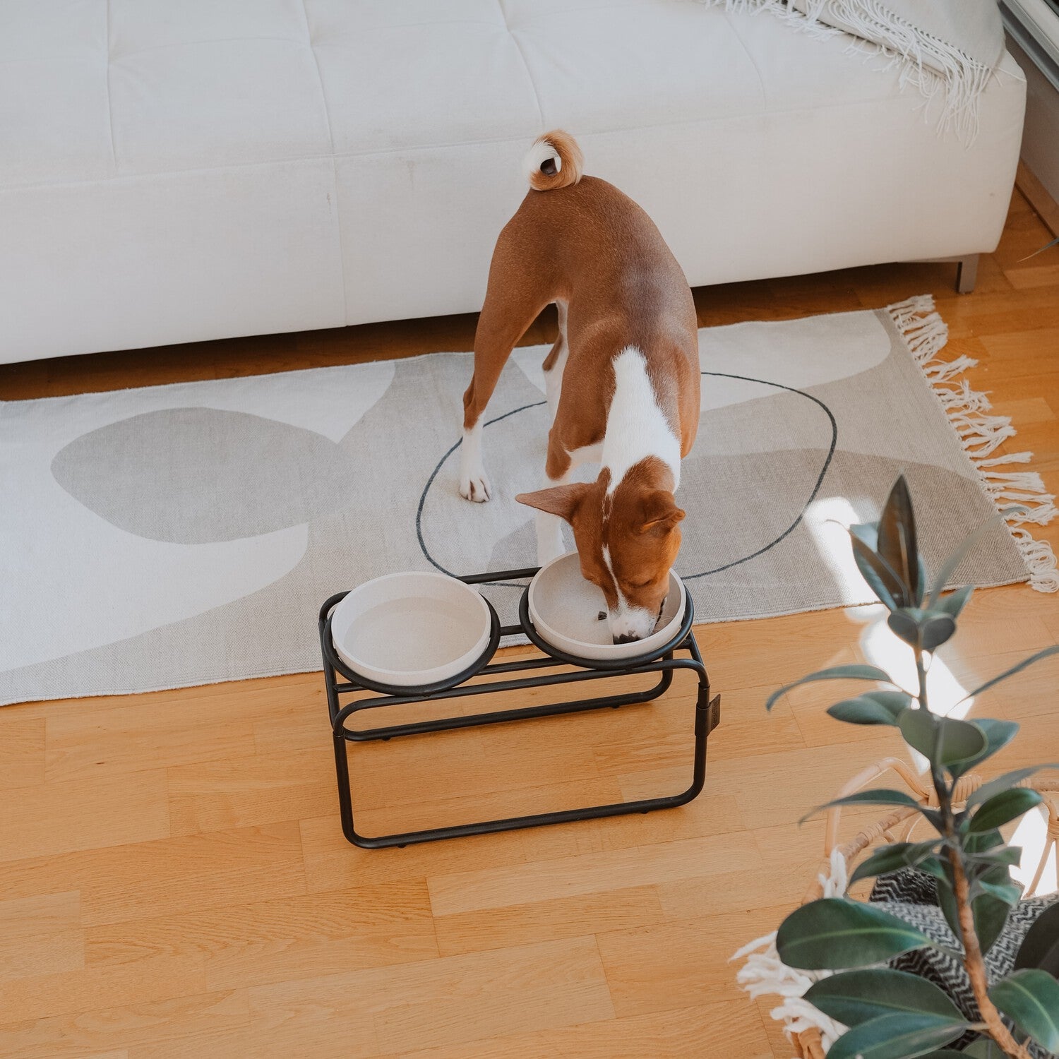 District 70 voerstandaard Butler zwart M 42 x 20 x 24 cm