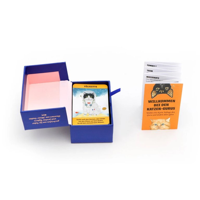 Laurence King Verlag Katzen-Gurus Mini