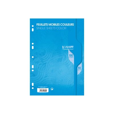 Calligraphe - feuilles simples A4 - 100 pages - grands carreaux (Seyes) - perforées - bleu