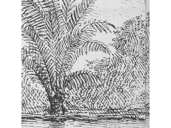 Paravent Imprimé Cuba - Atmosphera