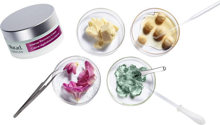 Murad Intense Recovery Cream