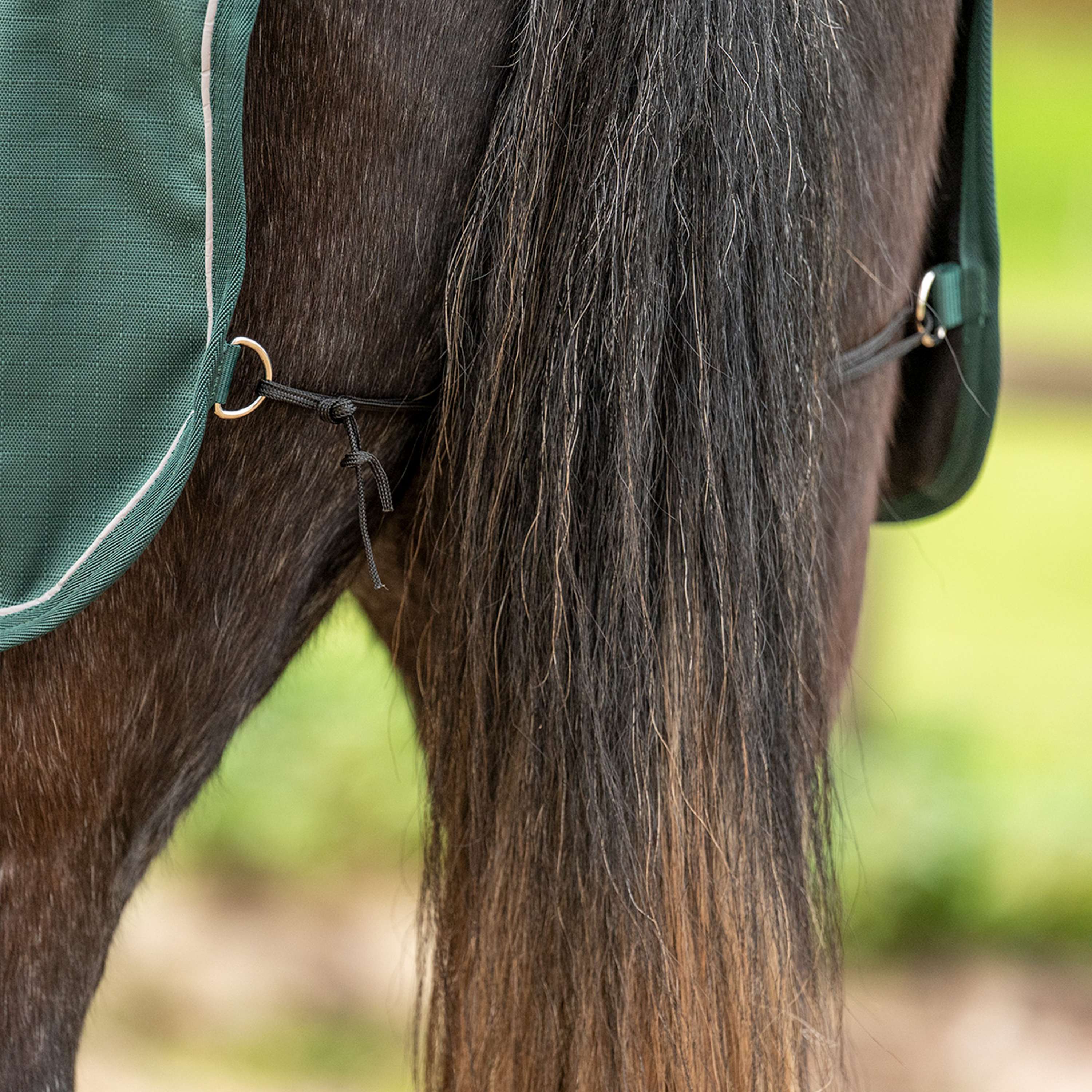 Agradi Horse Uitrijdeken 1200D Reflecterende Bies Groen
