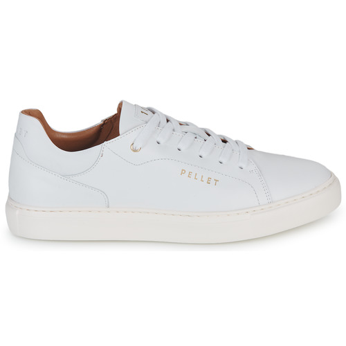 Pellet - JOSEPH - VEAU BLANC