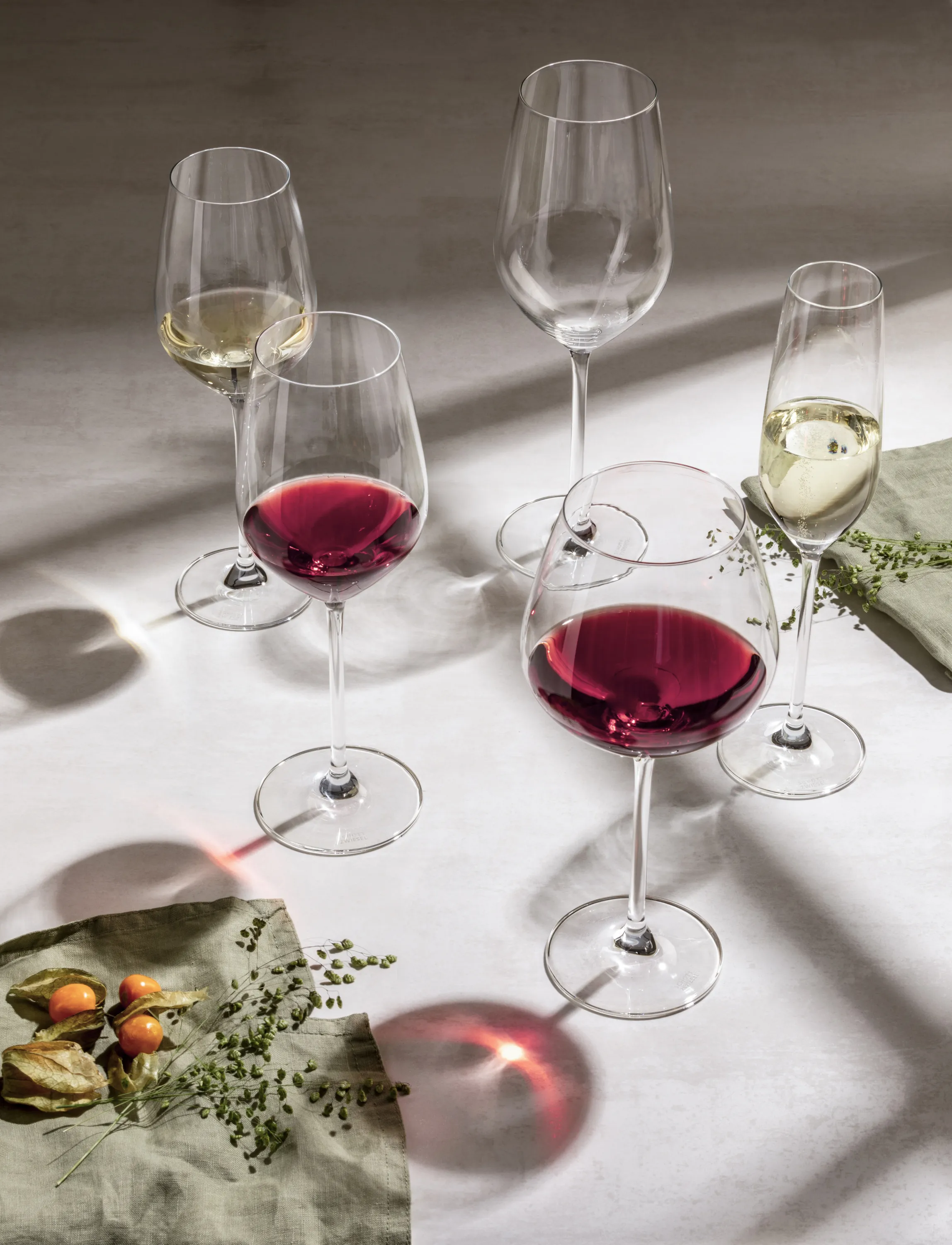 Schott Zwiesel Fortissimo Vinglas - 4 stk