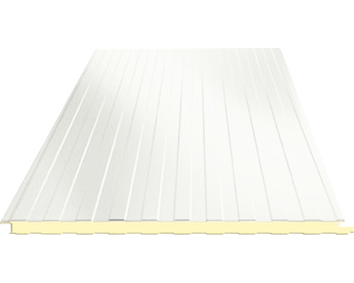 PRECIT Sandwichpaneel Wand Grijs Wit RAL 9002 3000 x 1000 x 40 mm