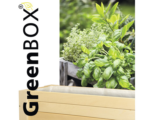 Verhoogd bed op palen Wagner System Green Box Light 83 x 34,5 x 70 cm naturel