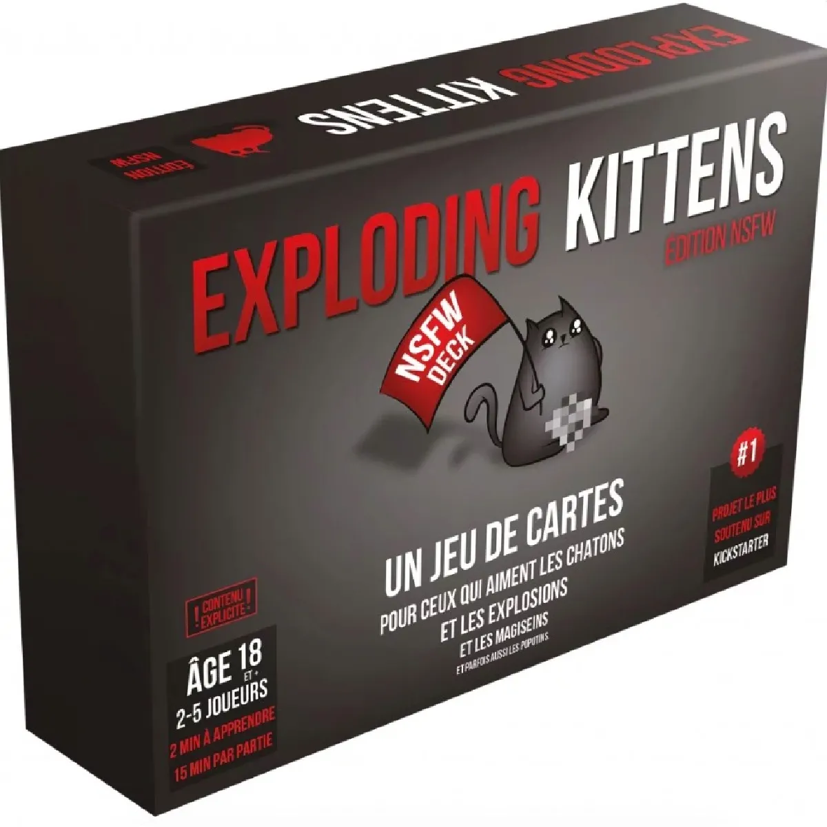 ASMODEE Exploding Kittens NSFW