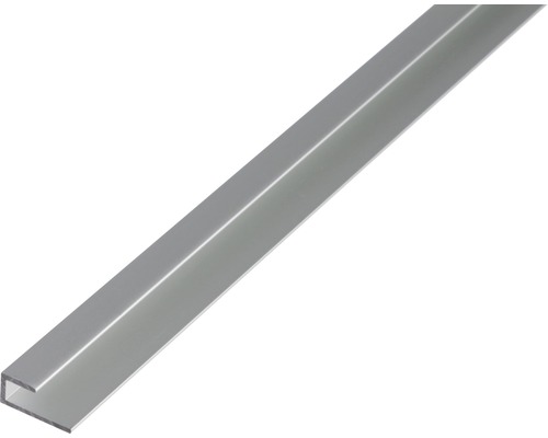 Randprofiel, aluminium, zilver geanodiseerd, 20x9x1,5 mm, 1 m