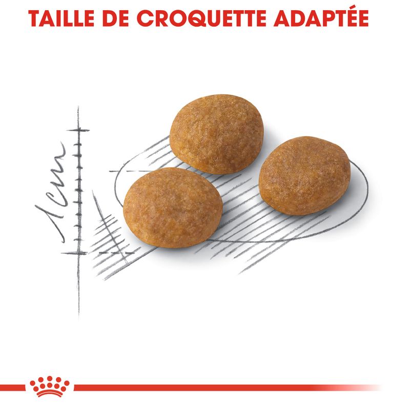 Royal Canin Aroma Exigent à prix discount sur bitiba.fr