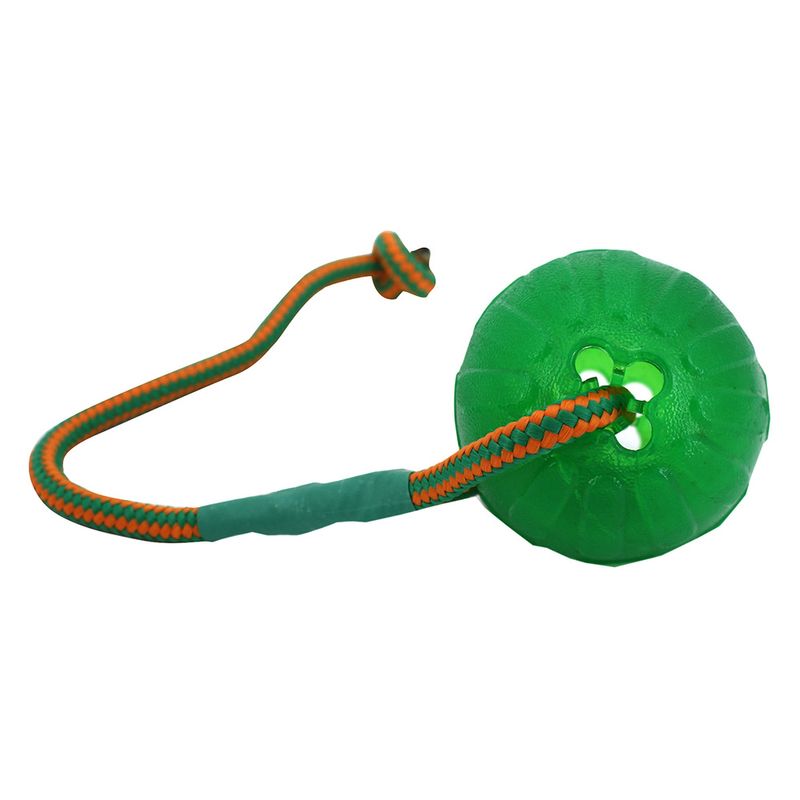 Jouet Starmark Swing n' Fling Chew Ball