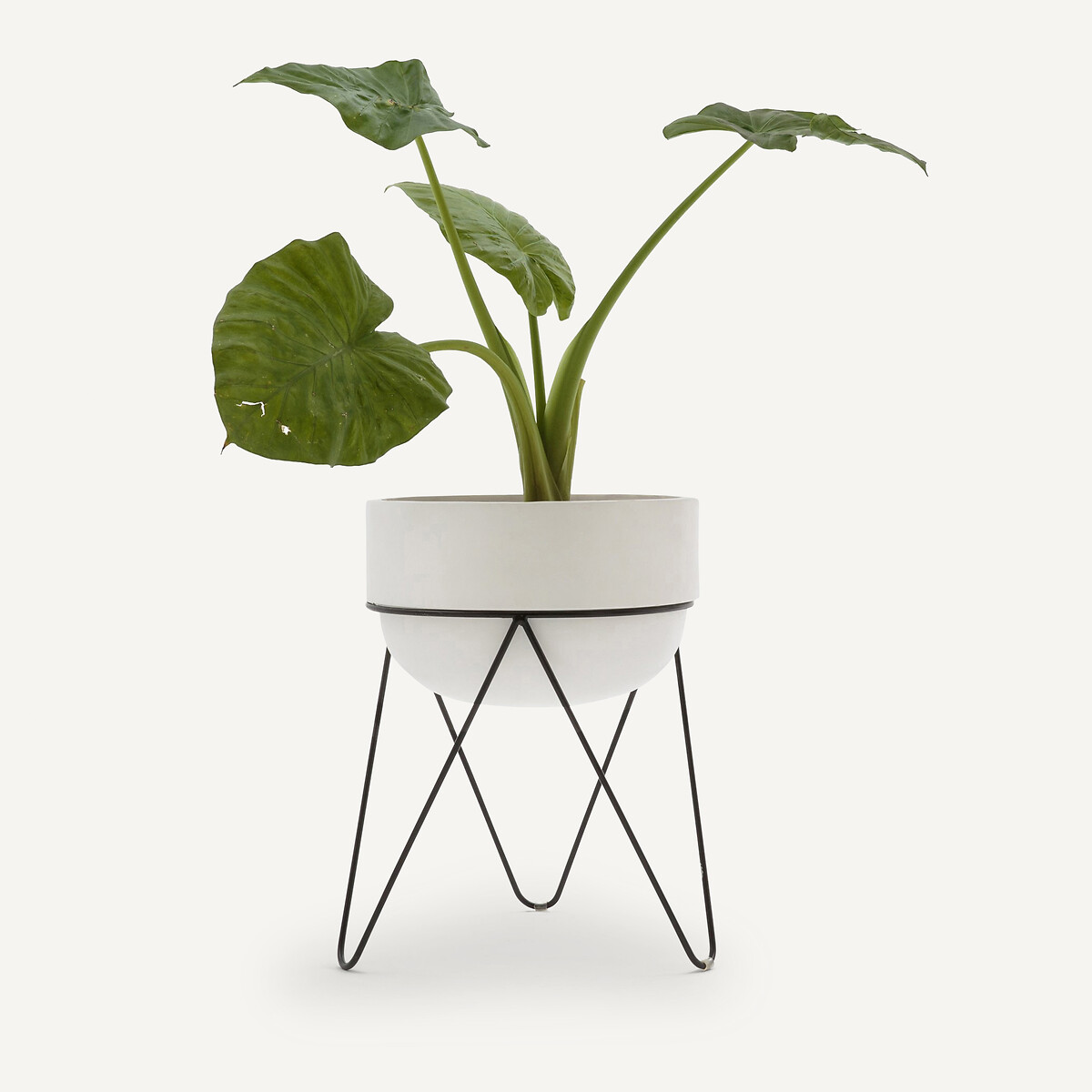 AM.PM<br>Vaso de flores H54 cm, Plantae