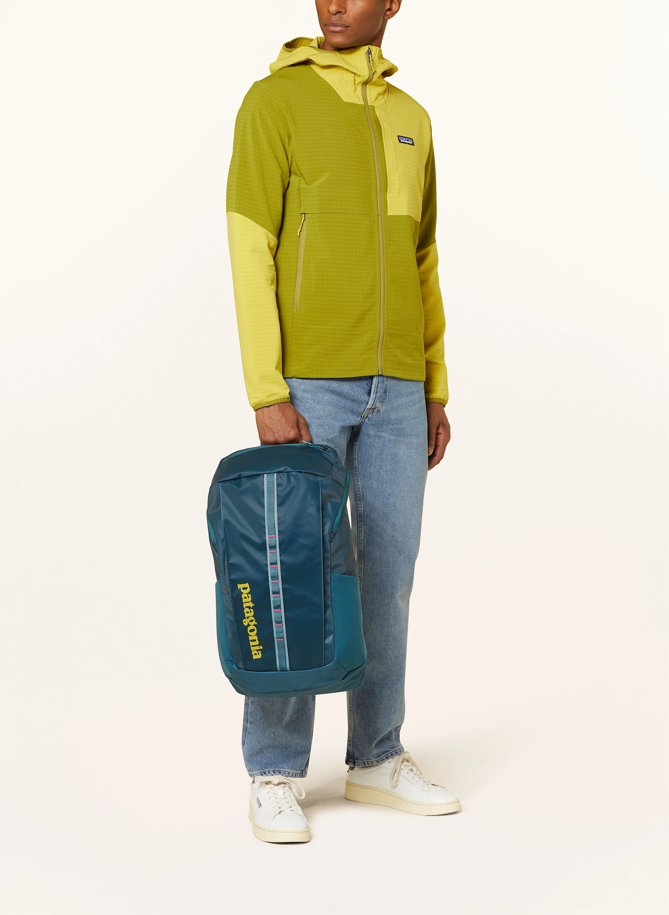patagonia Rucksack BLACK HOLE® 25 l mit Laptop-Fach