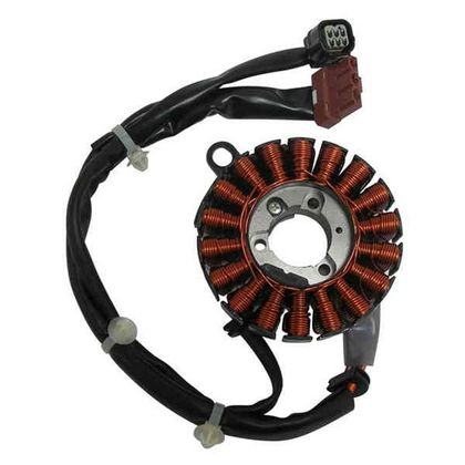 Stator d'allumage SGR Stator d'allumage