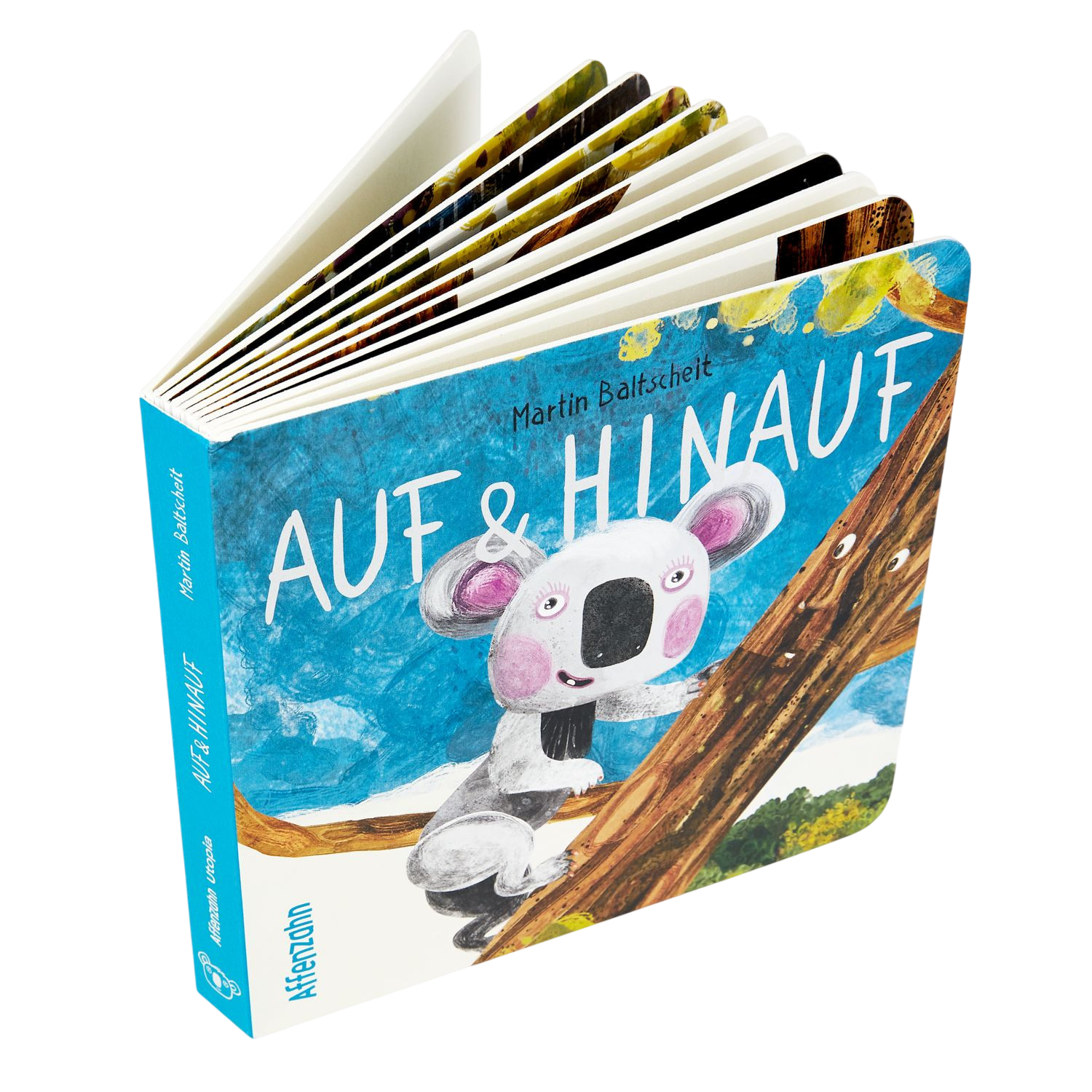 Pappbuch 