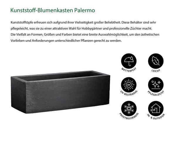 Dehner Kunststoff-Blumenkasten Palermo, ca.