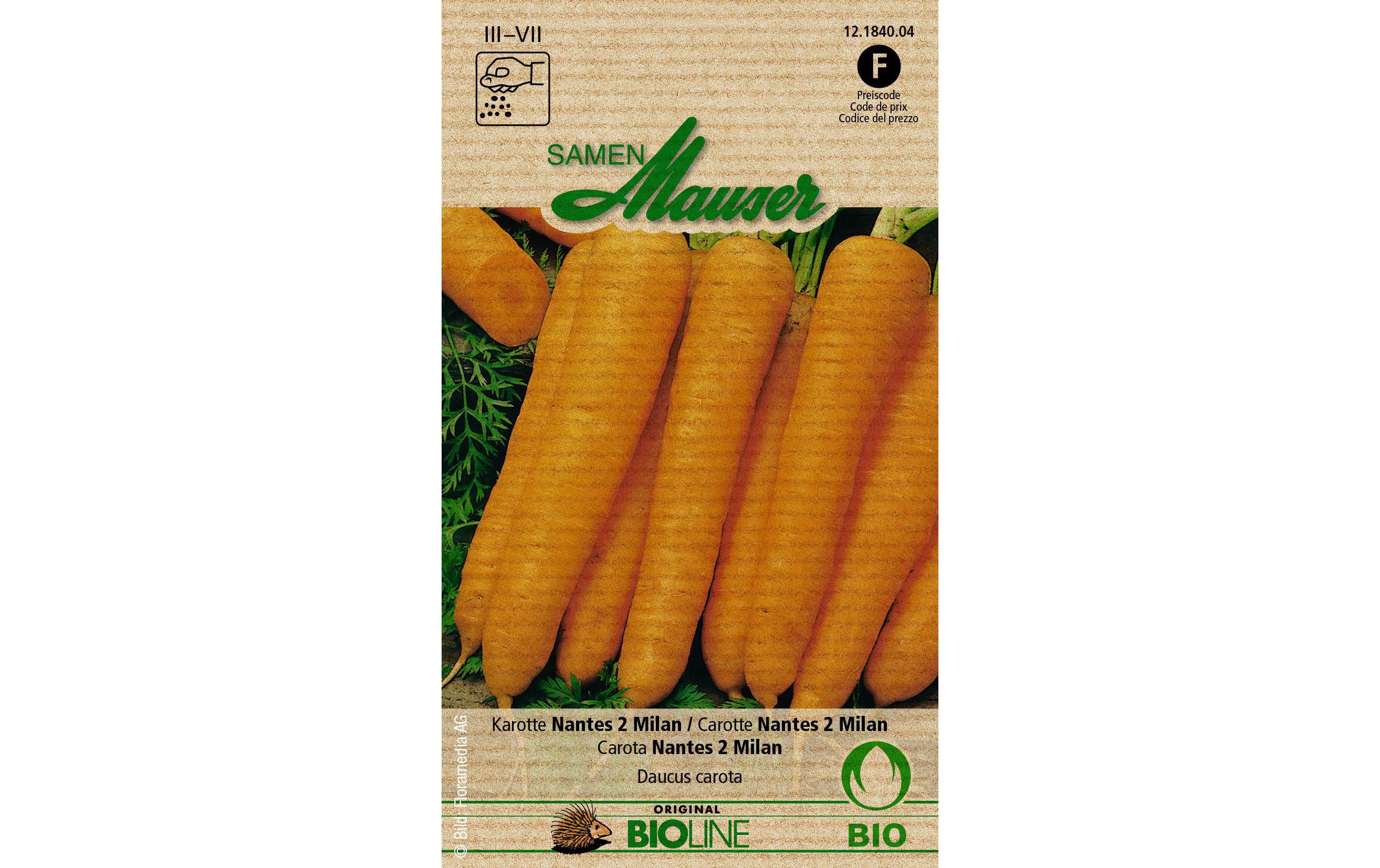 Samen Bioline Karotte Nantes 2 MilanGemüsesamen