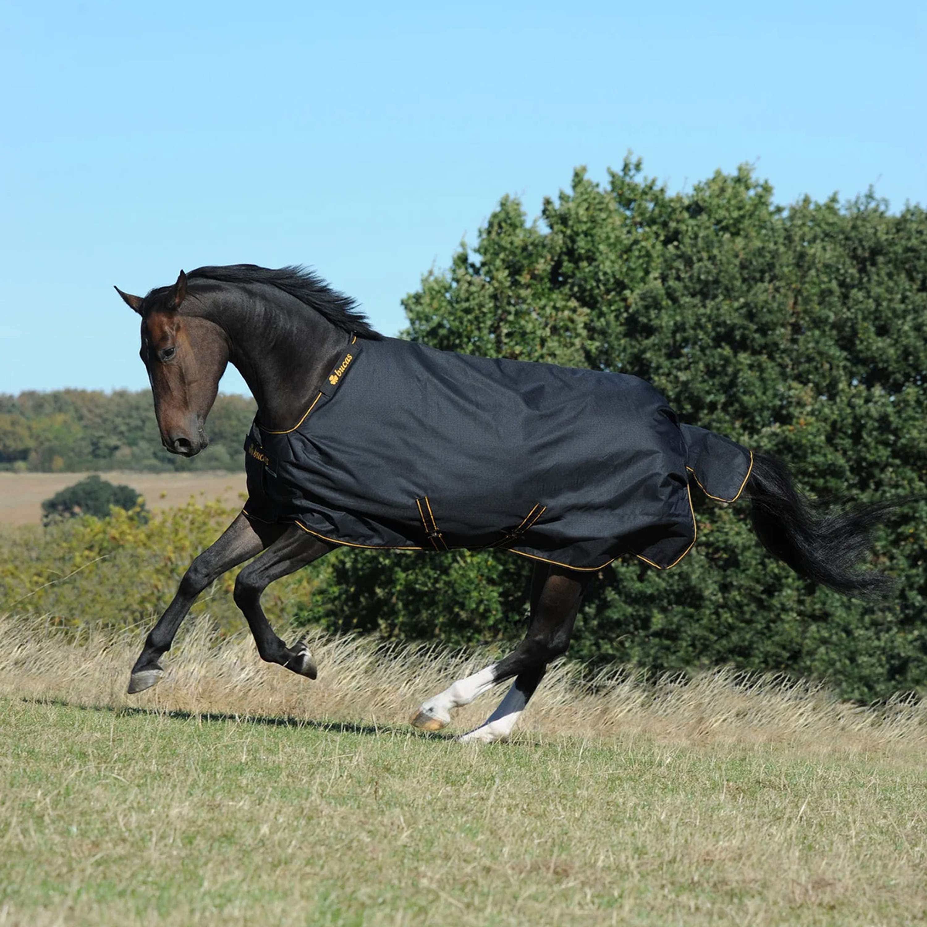 Bucas Irish Turnout Big Neck 50g Black/Gold