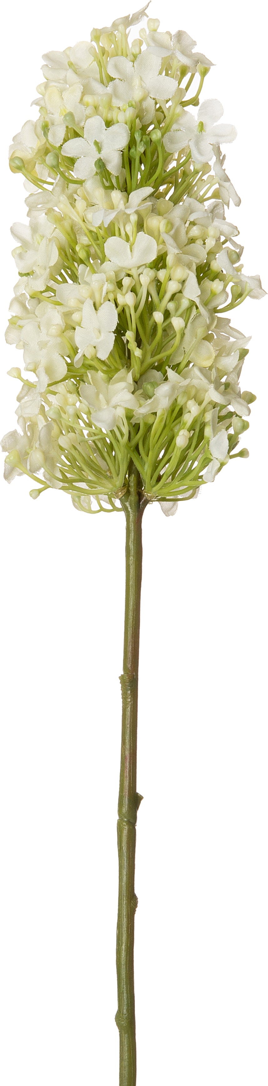 Intratuin kunstbloem Hortensia ovaal wit 53 cm