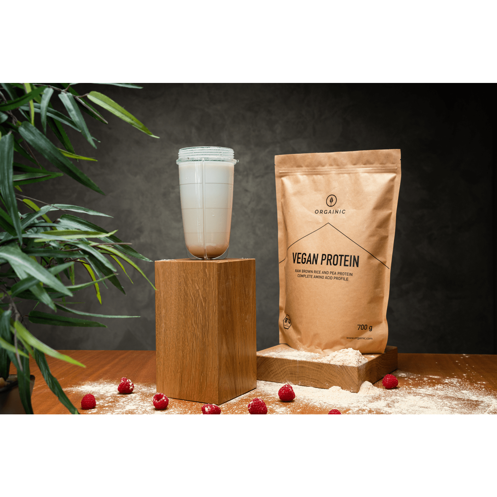 Vegan Protein bio (700g)
