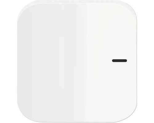essentials Smart Home Centrale Duo Zigbee & Bluetooth