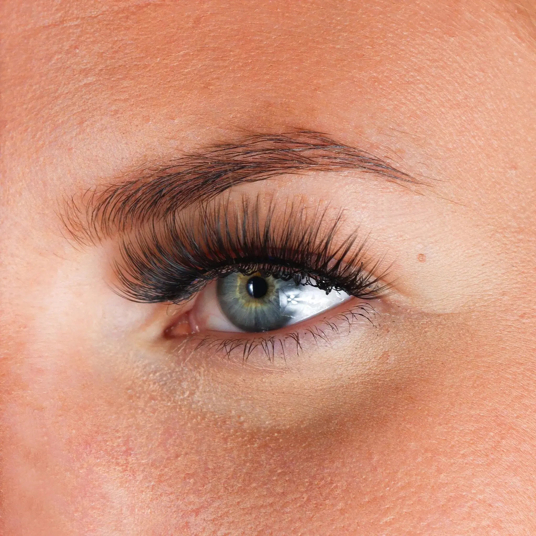 Lashes Angelique