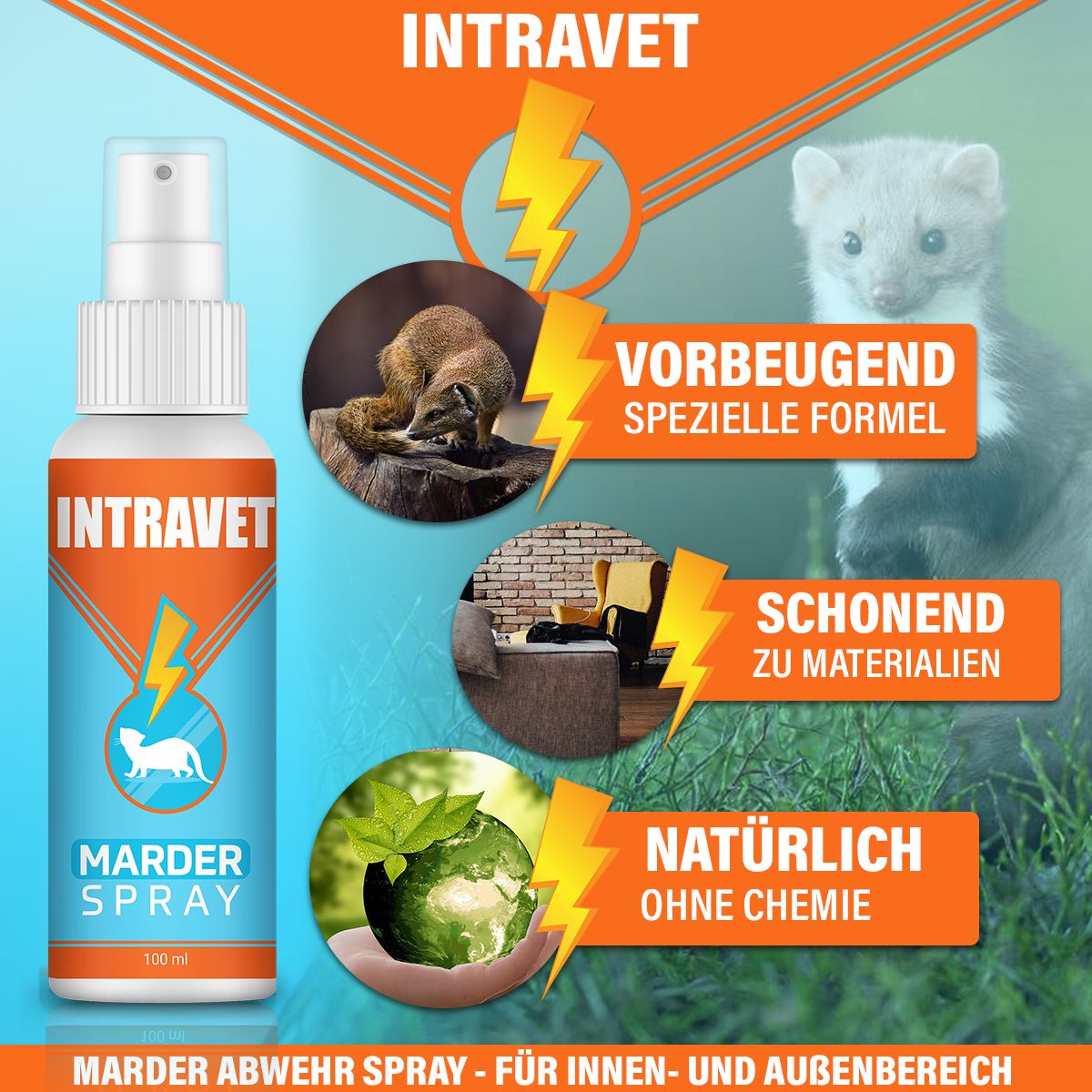 Intravet® | Anti Marder Spray