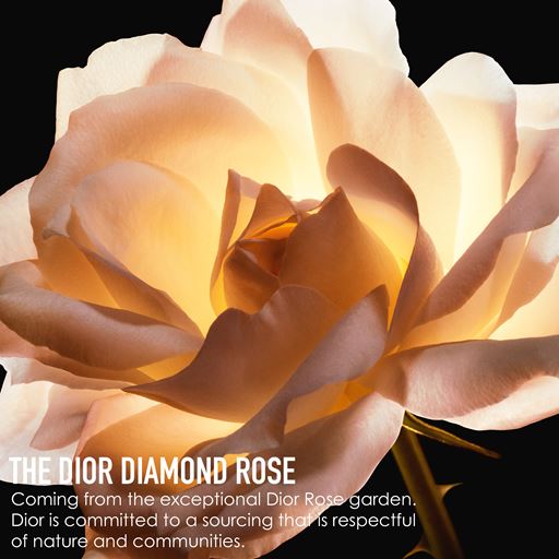 Dior Prestige La Crème Texture Fine Refill, 50 ml