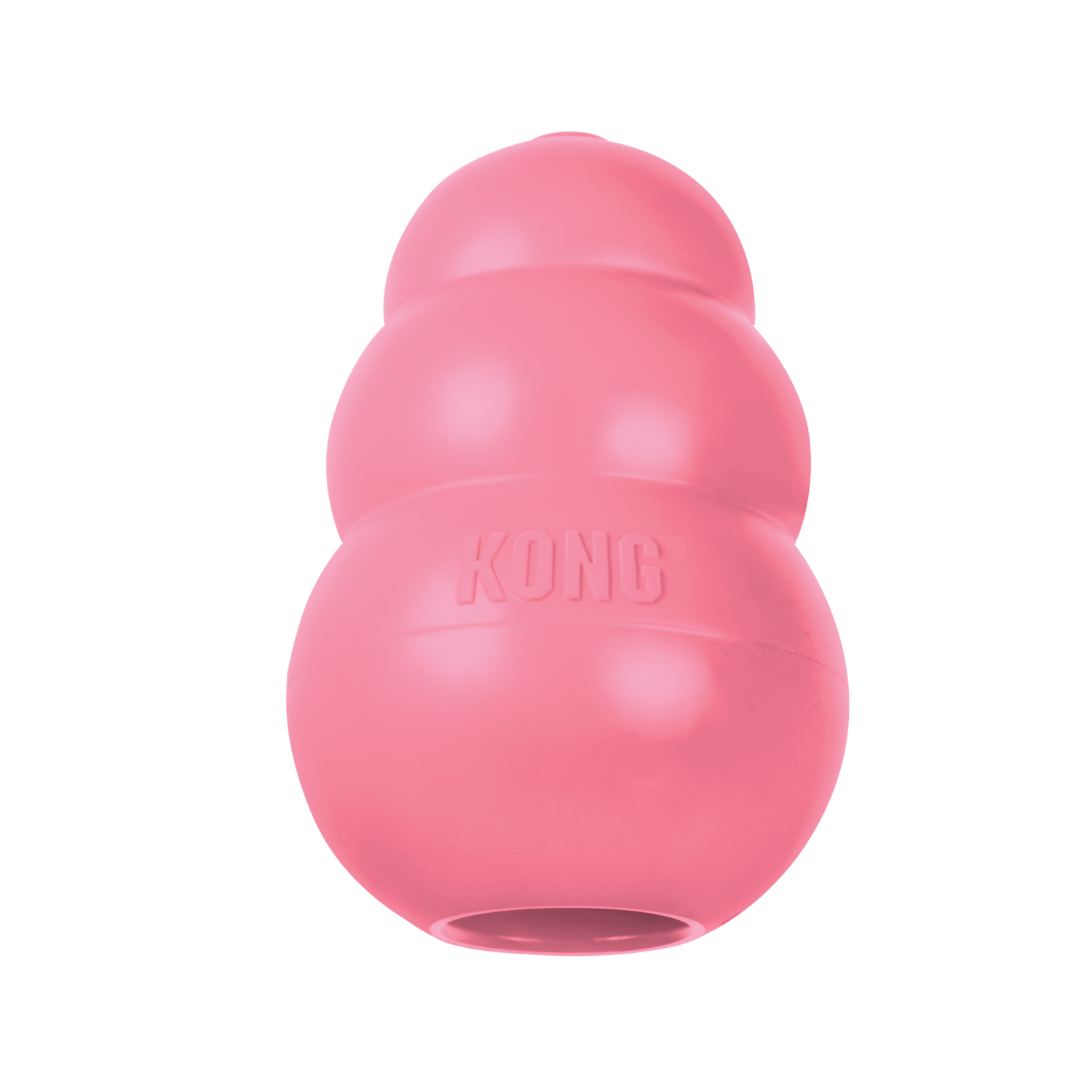 KONG Puppy