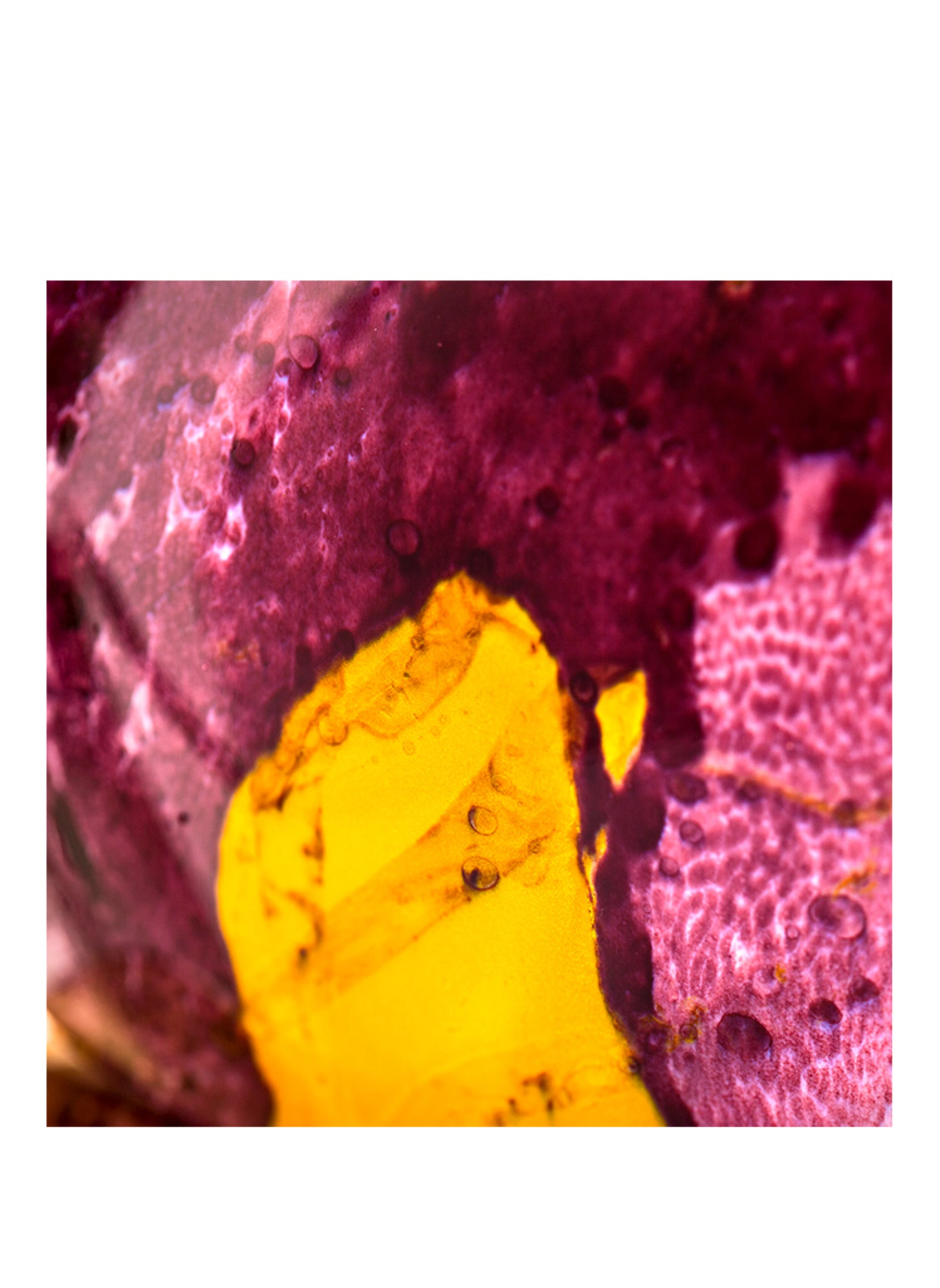 THE HOUSE OF OUD GRAPE PEARLS
