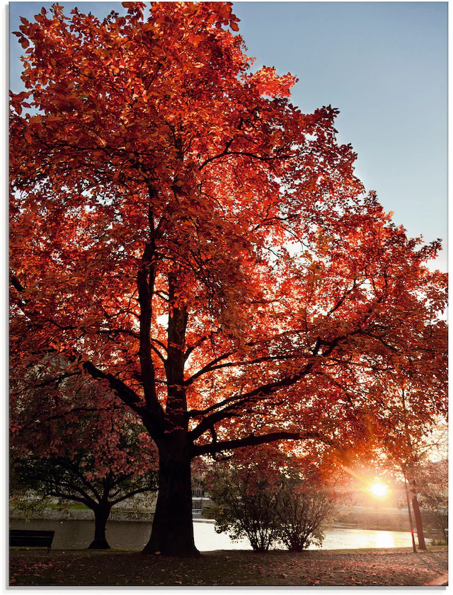 Artland Glasbild »Herbstbaum« Bäume 1 Stk. tlg. in verschiedenen Grössen