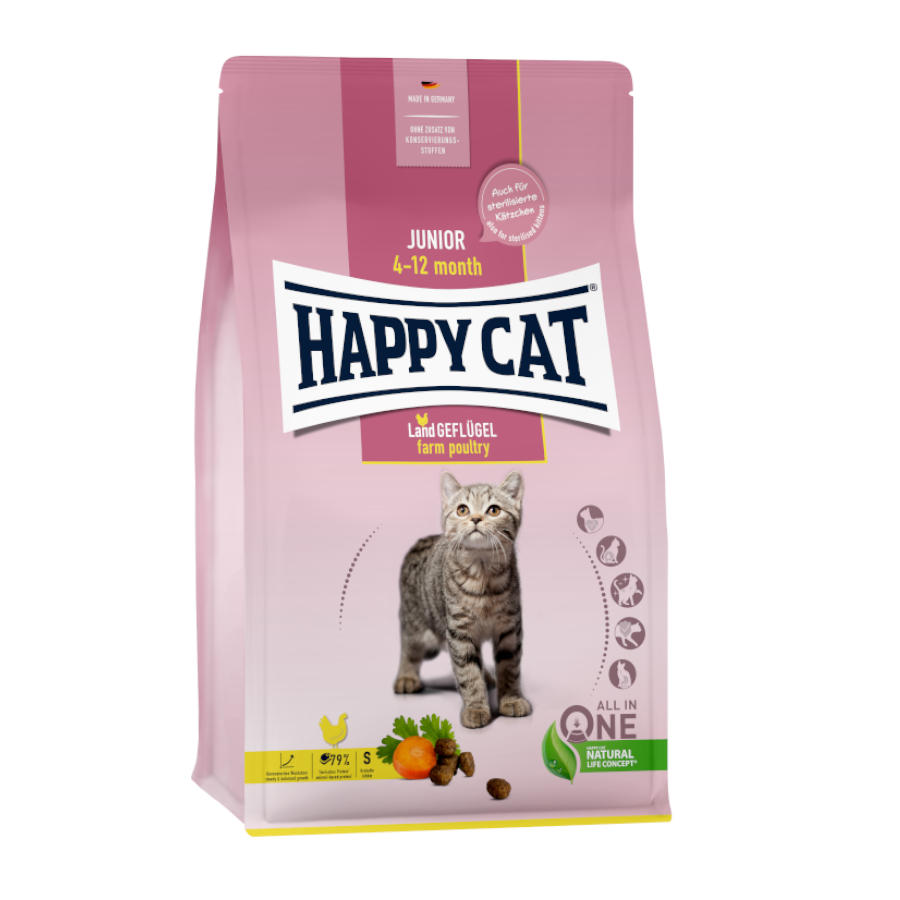 Gato Feliz Júnior Ave piando