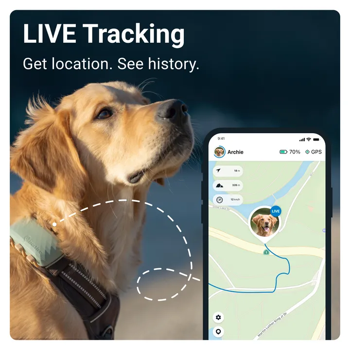 Tractive GPS DOG XL - Green - Abonnement i app