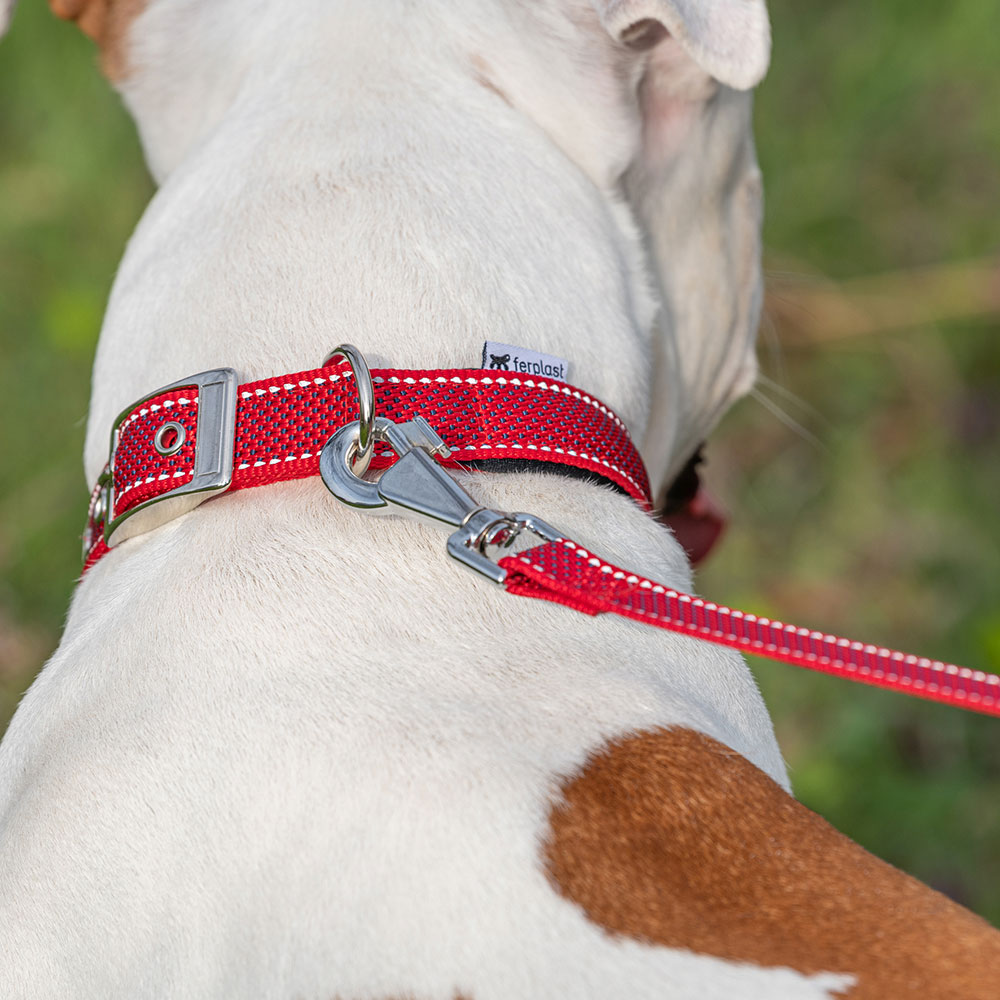 Laisse réfléchissante pour chiens daytona deluxe g25/120, support sachets hygieniques, poignée rembourrée, rouge-noir