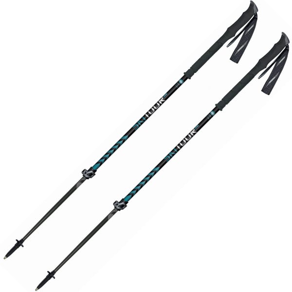 Bâton ski de randonnée MASTERS SKI TOUR PRO BLACK/BLUE