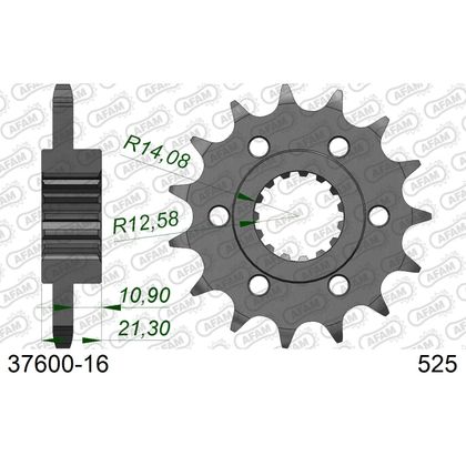 Kit chaine AFAM 525 Type Acier