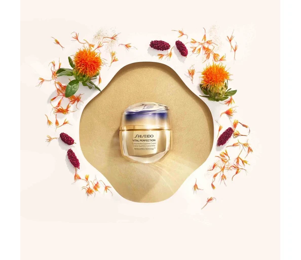 Shiseido Vital Perfectio Concentrated Supreme Cream Refill