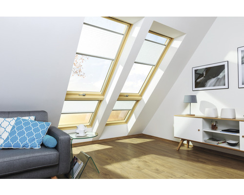 FAKRO Draai-kiepraam FPP-V40P P2 MAX 55x98 cm
