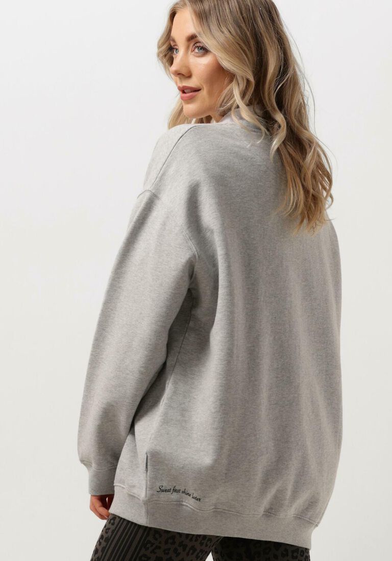 DEBLON SPORTS grijze deblon sports sweater puck sweater
