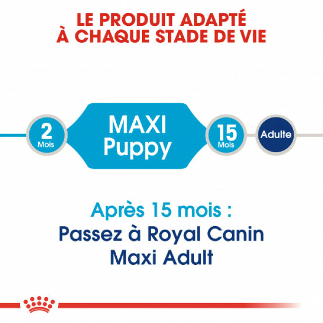 Croquettes Royal Canin Maxi Puppy Junior