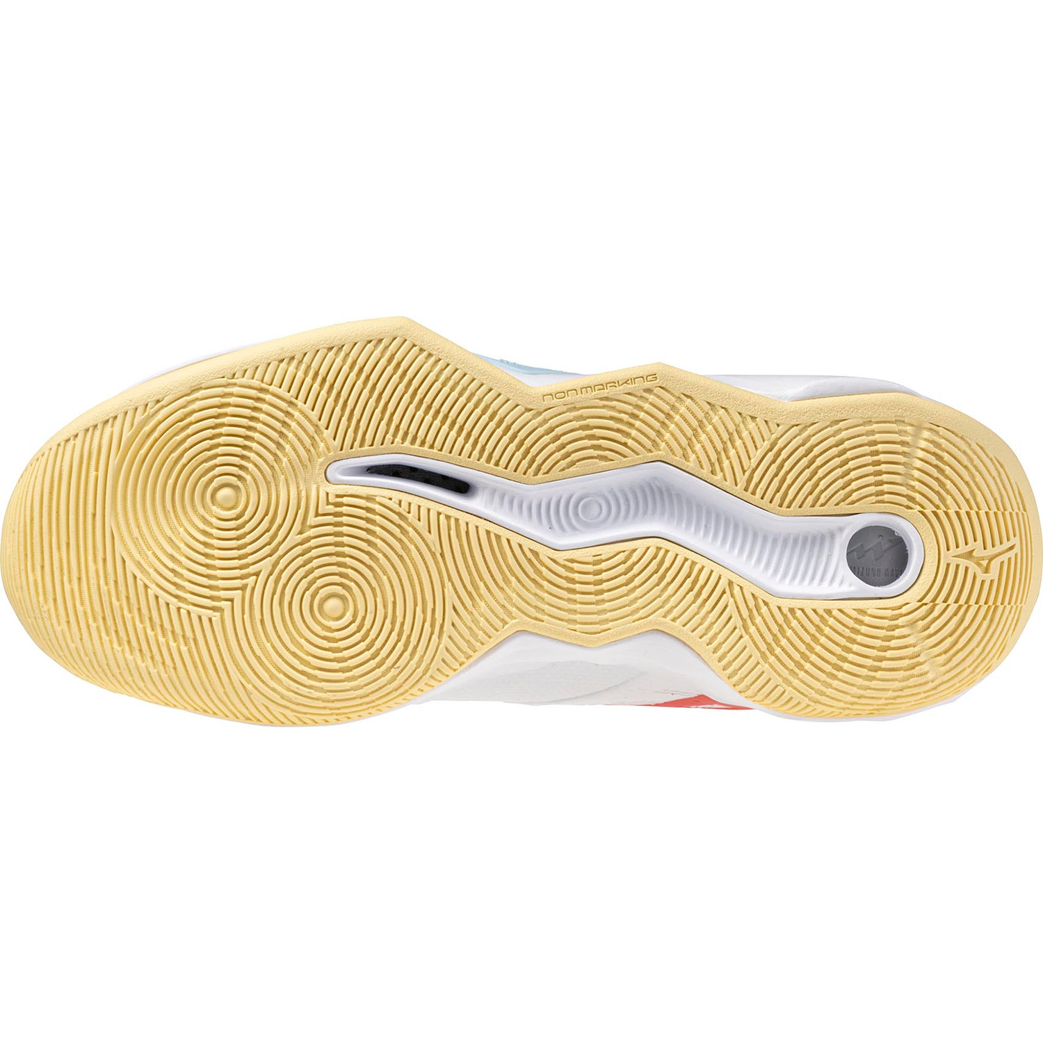 Mizuno Wave Momentum Pro Dames