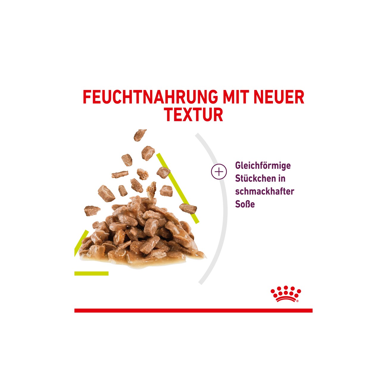 ROYAL CANIN Sensory Smell in Soße für wählerische Katzen 12x85 g