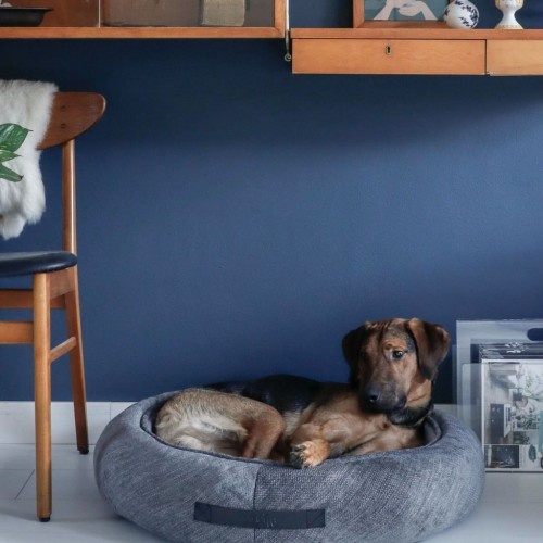 Cama redonda Halo para animais de estimação, cinza
