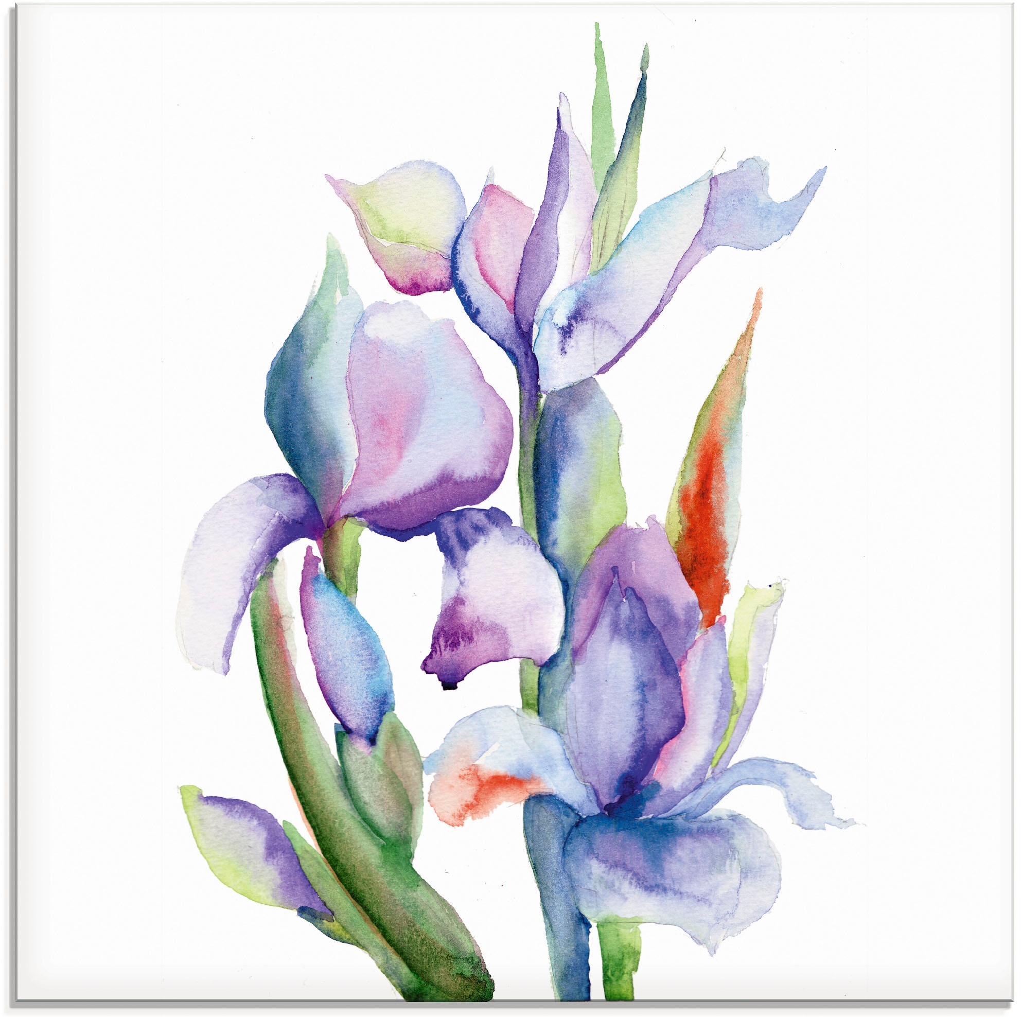Artland Glasbild »Iris« Blumen 1 Stk. tlg. in verschiedenen Grössen