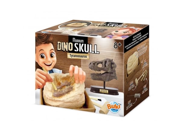 Buki Museum Dino Skull Tyrannosaurus, Eksperiment sett, Paleontology, 8 år, Flerfarget