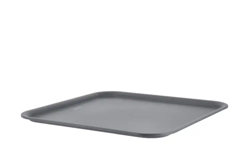 Rotho Deckel für Aufbewahrungsbox 29,6 cm