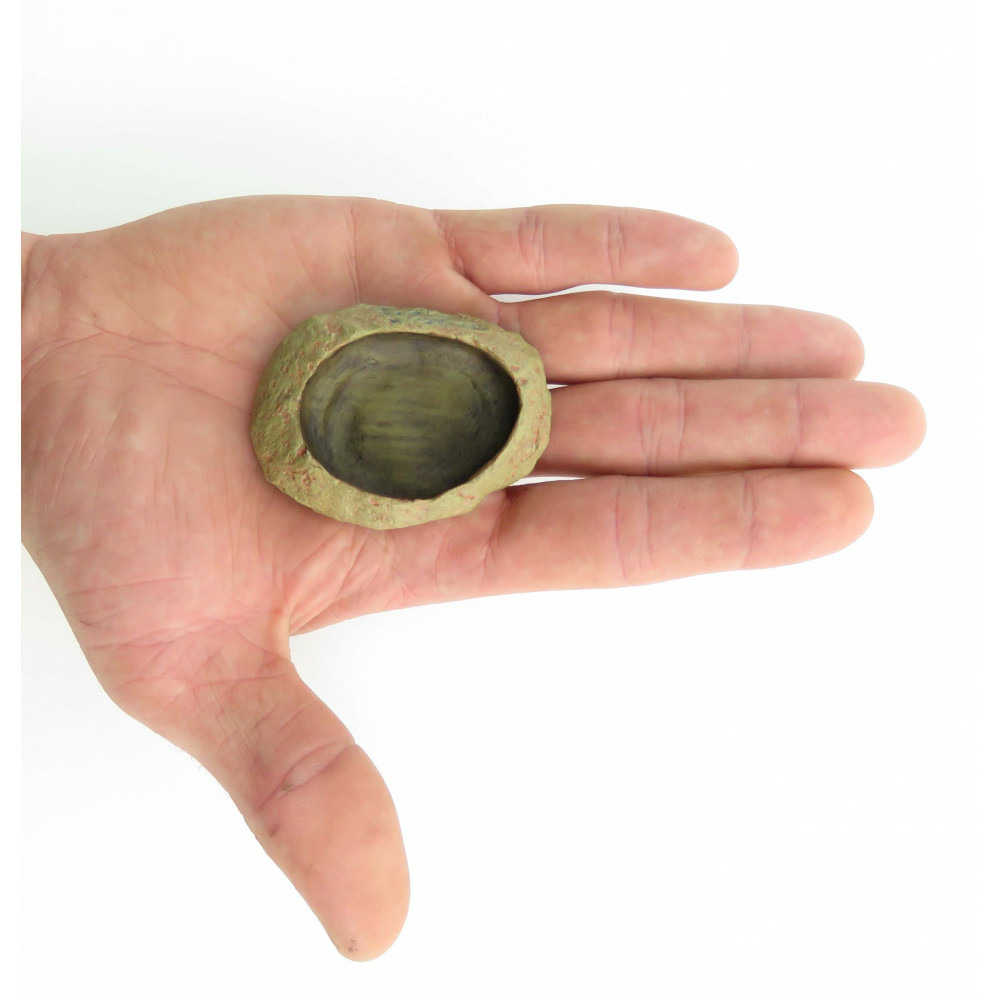 Ecuelle pour eau et nourriture pour reptile, taille: 6 × 1,5 × 4,5 cm h1.5