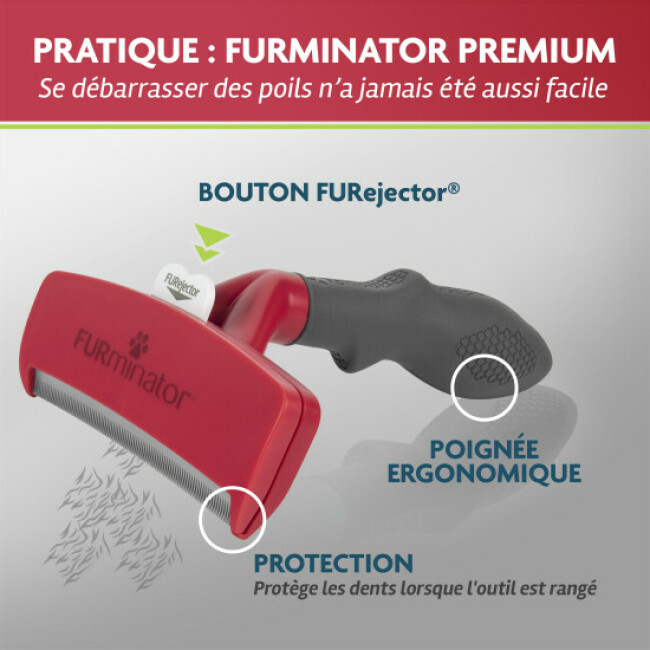 Brosse FURminator pour chien à poils courts