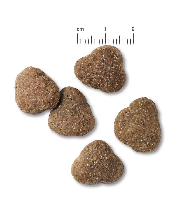 BELCANDO® Trockenfutter für Hunde Junior,