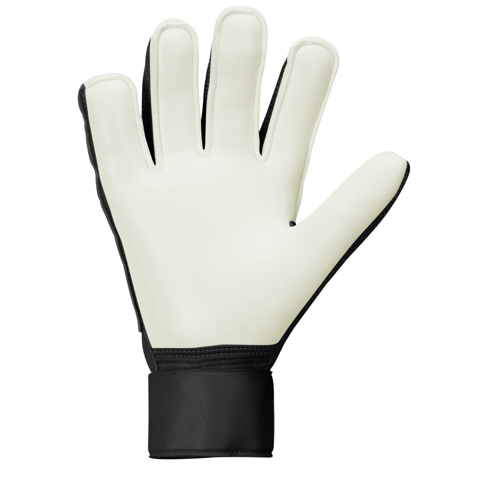 Nike Match Goalkeeper Gloves