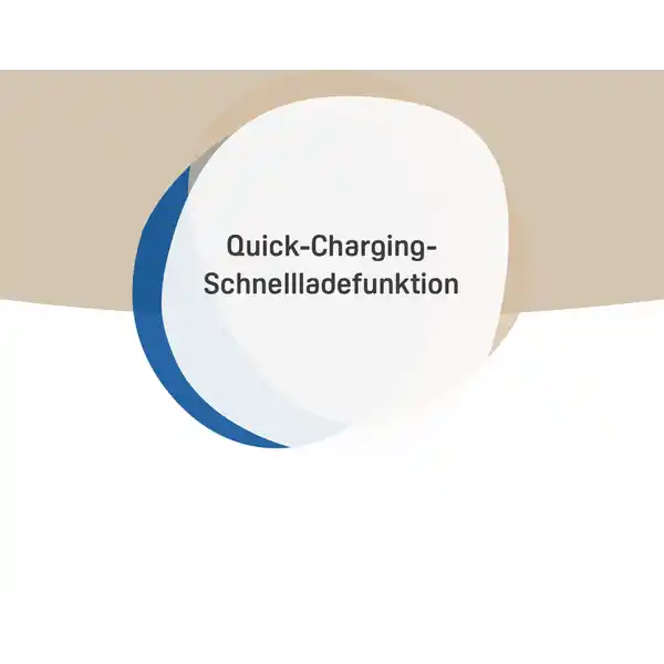 Dual-USB-Schnellladegerät